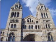 the natural history museum